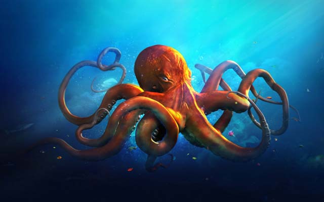 octophus